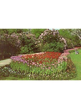 Vintage Lilacia Park Lombard Illinois Postcard Kodachrome By Carlton Becker